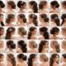 découvrez 65 idées de coiffures chics et élégantes parfaites pour les invitées de mariage, alliant style et sophistication pour un look inoubliable.